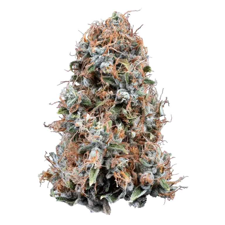 Blueberry Cheesecake by Woodward Fine Cannabis