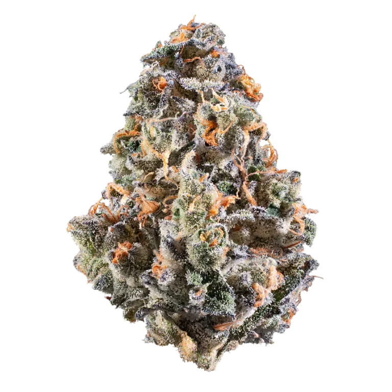 Permanent G by Woodward