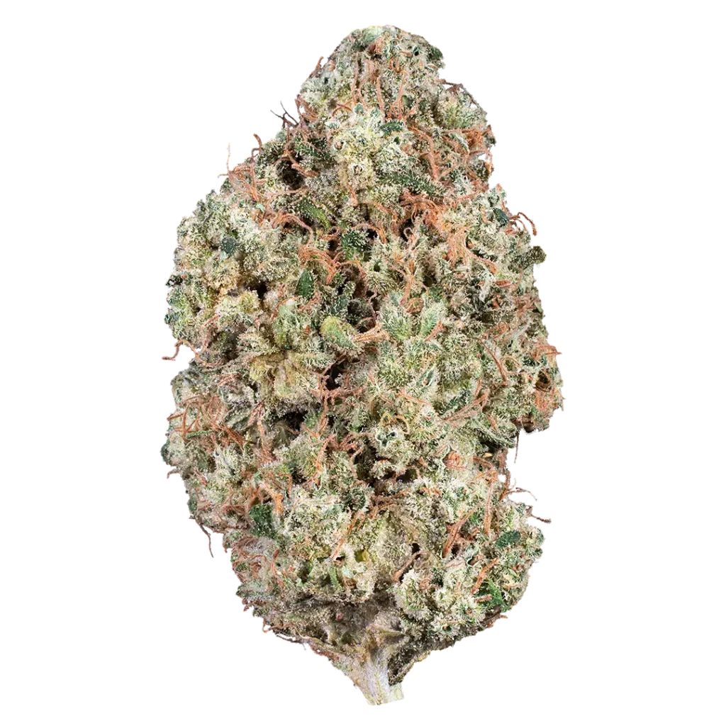91 Durban by Woodward Fine Cannabis