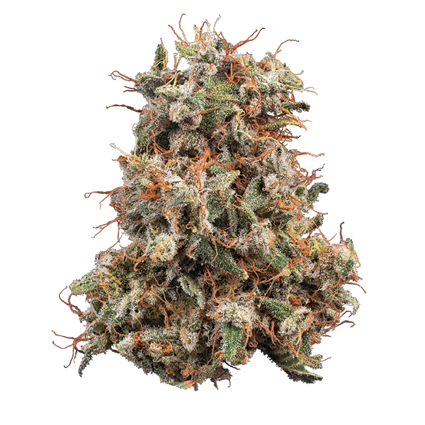 Banana Mac by Woodward Fine Cannabis