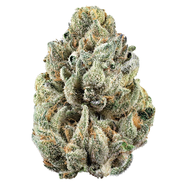 Beach Wedding by Woodward Fine Cannabis
