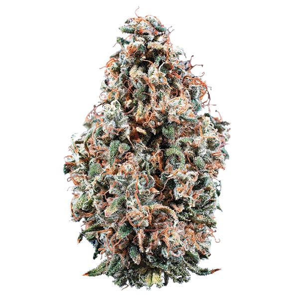 Cherry Jungle by Woodward Fine Cannabis