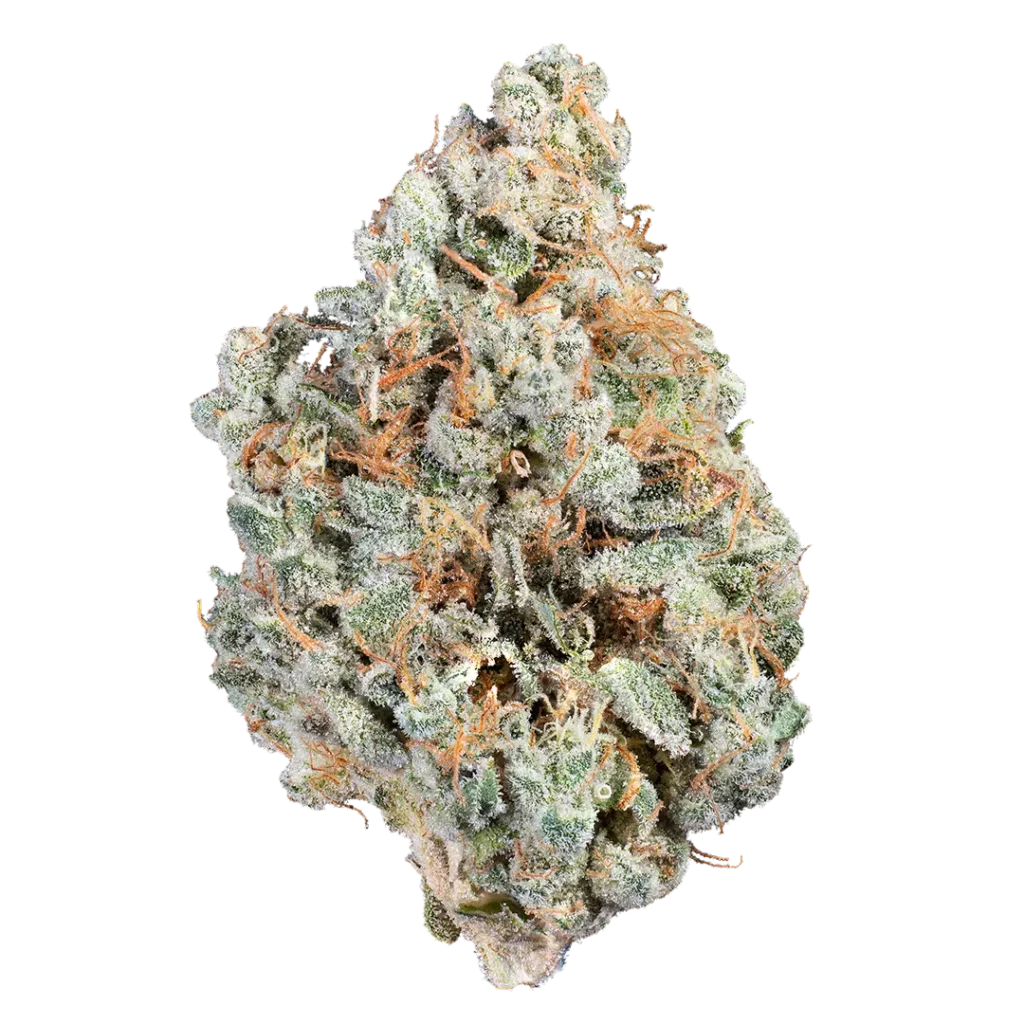 Hot Zawtz by Woodward Fine Cannabis
