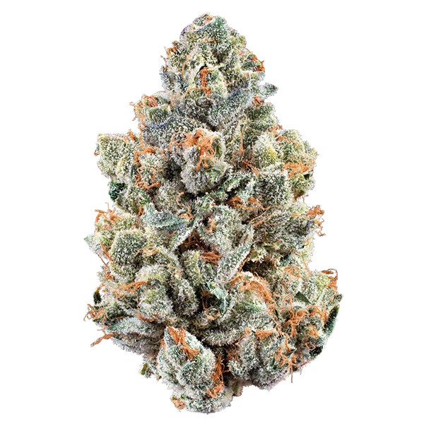 Star Mintz by Woodward Fine Cannabis