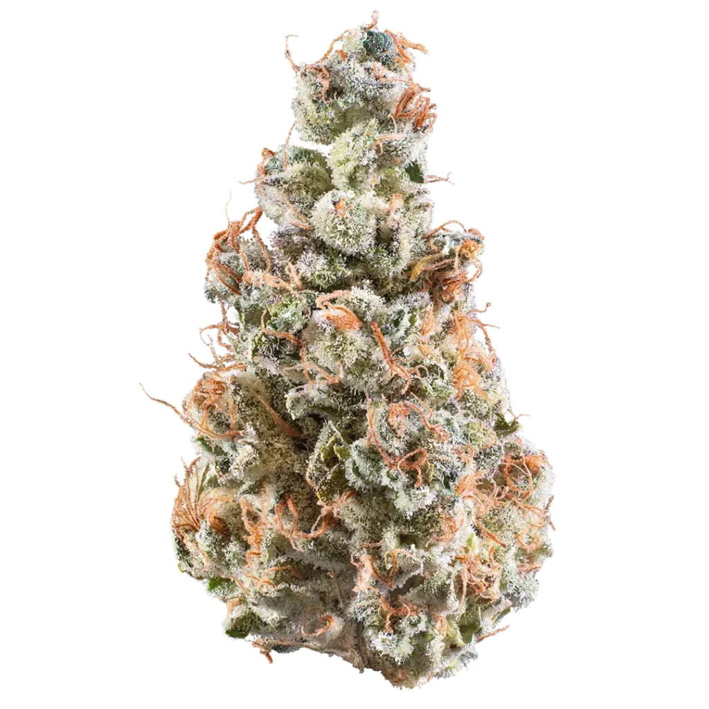 Grape Grenade by Woodward