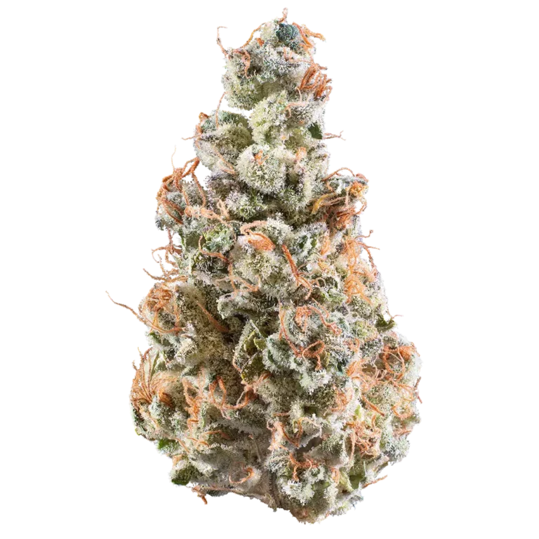 Grape Grenade by Woodward