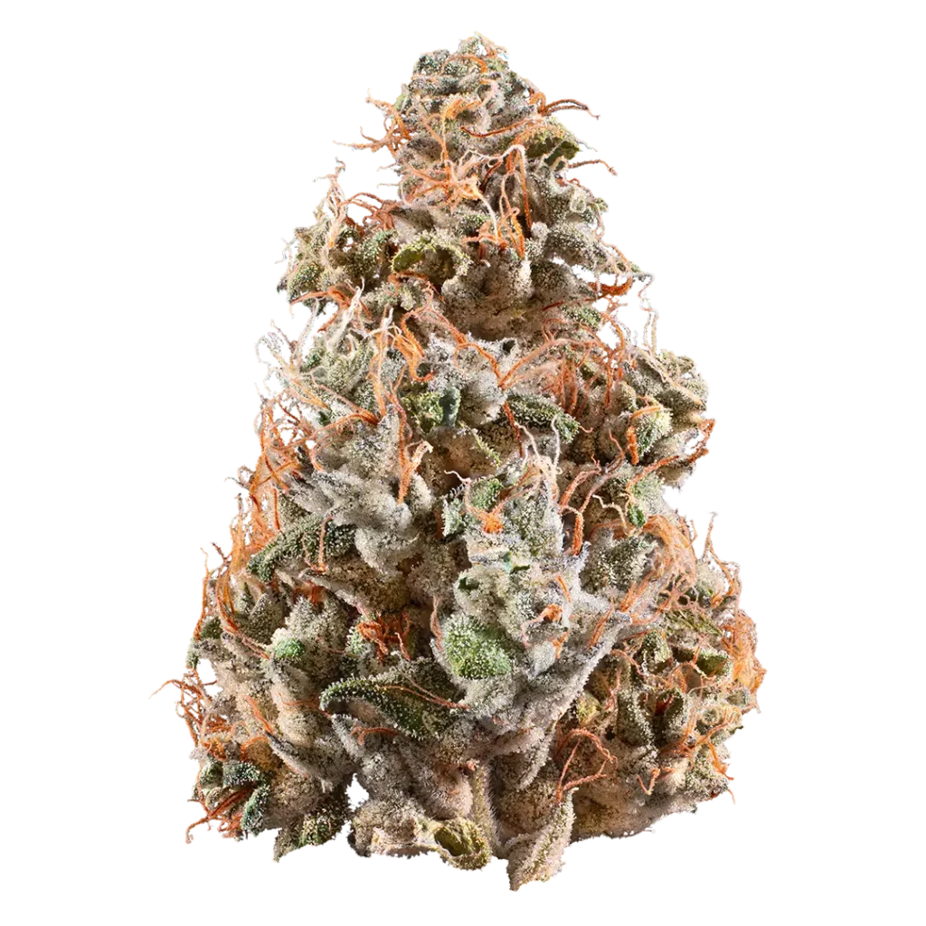 Lemon Royale by Woodward