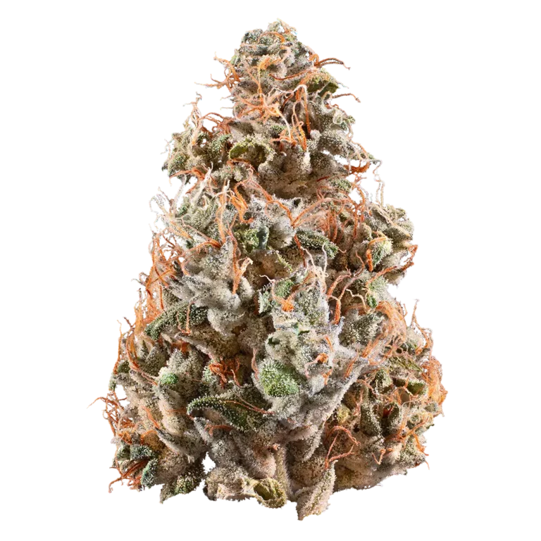 Lemon Royale by Woodward