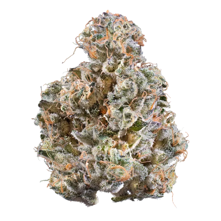 Tiger Candy by Woodward