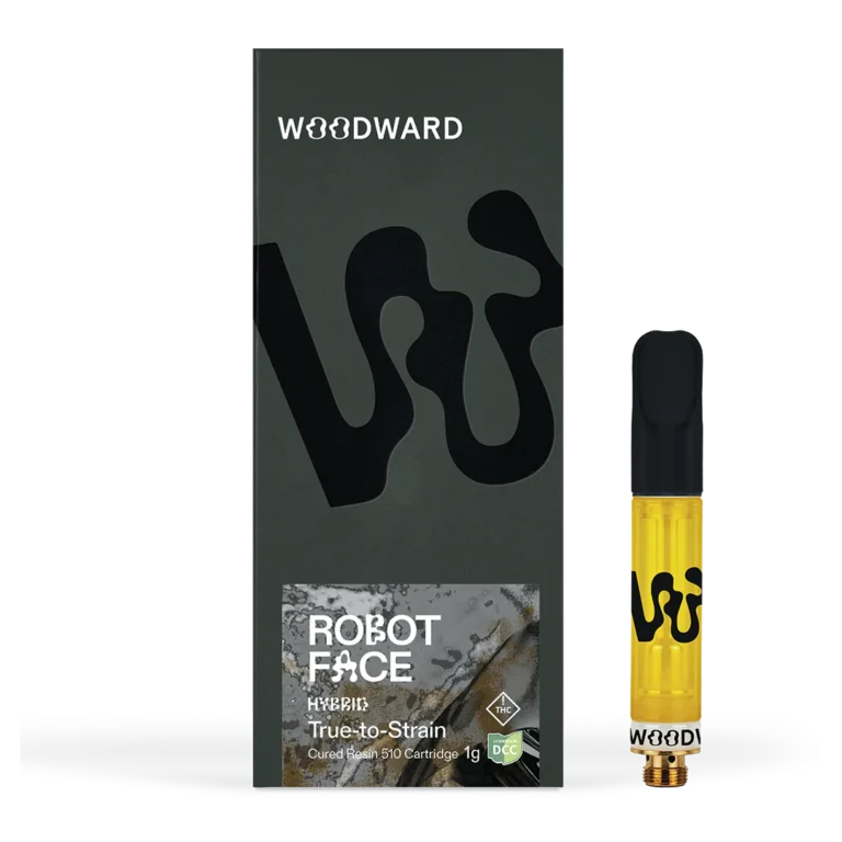 Robot Face by Woodward